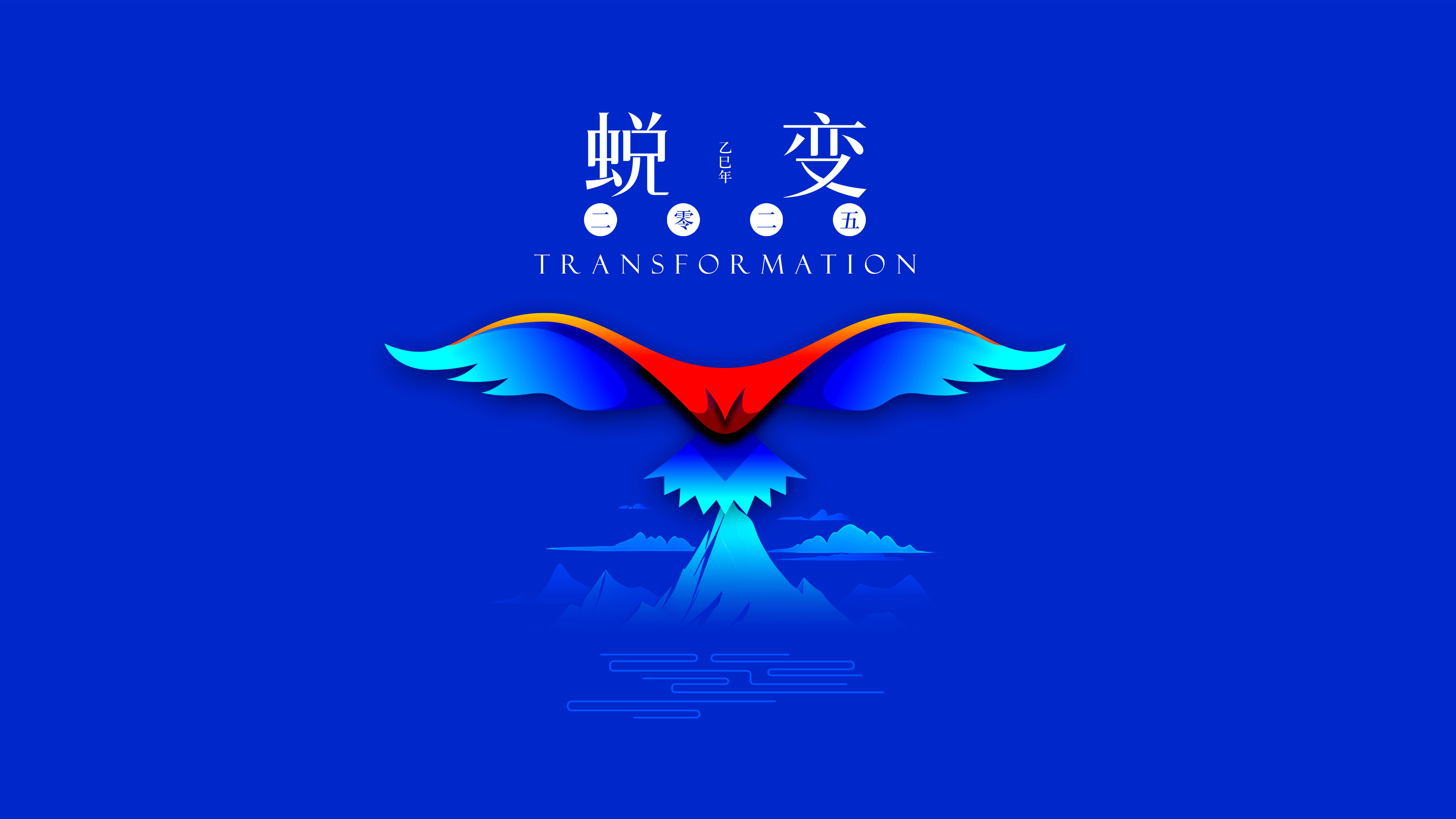 我與海星的2024，期待2025年與您一起續寫(xiě)美好篇章